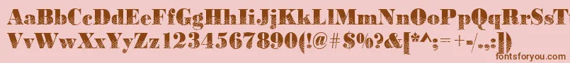 Bodonidirections2Regular Font – Brown Fonts on Pink Background