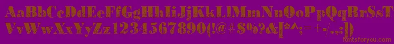 Bodonidirections2Regular Font – Brown Fonts on Purple Background