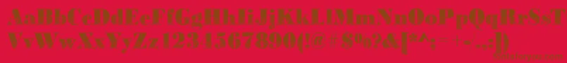 Bodonidirections2Regular Font – Brown Fonts on Red Background