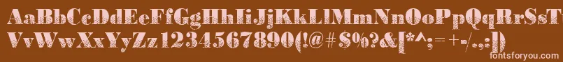 Bodonidirections2Regular Font – Pink Fonts on Brown Background