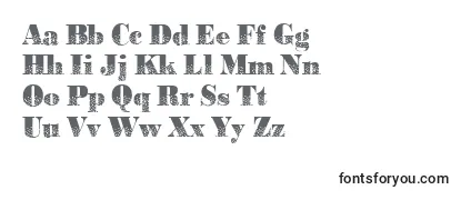 Review of the Bodonidirections2Regular Font
