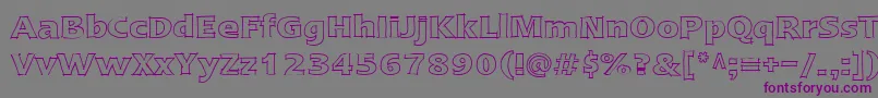 LinotypeErgoSketch Font – Purple Fonts on Gray Background