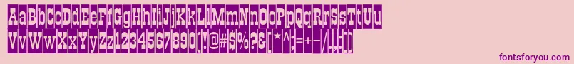 Traktircameoc Font – Purple Fonts on Pink Background