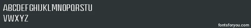 CarpeDiemMiddle Font – White Fonts on Black Background