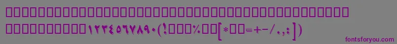 フォントBNikoo – 紫色のフォント、灰色の背景