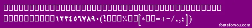 More about BNikoo Font BNikoo Font – White Fonts on Purple Background