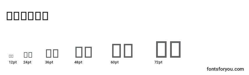 BNikoo Font Sizes
