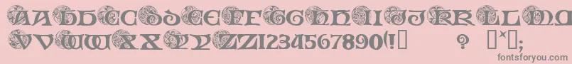 SpiralInitials Font – Gray Fonts on Pink Background