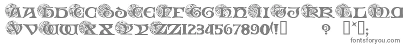 SpiralInitials Font – Gray Fonts on White Background