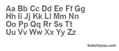 QuicktypeIiBold-fontti