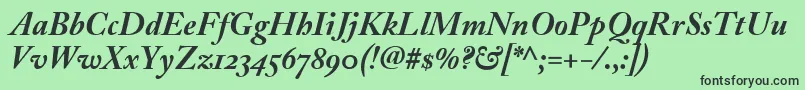 Czcionka AdobeCaslonBoldItalic – czarne czcionki na zielonym tle