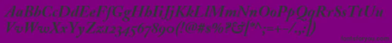 AdobeCaslonBoldItalic Font – Black Fonts on Purple Background