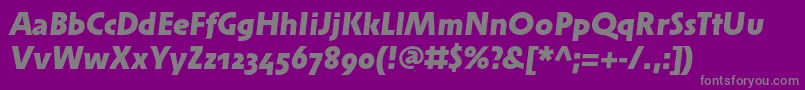 SolperamediumosfBolditalic Font – Gray Fonts on Purple Background