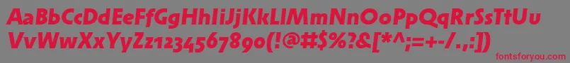 SolperamediumosfBolditalic Font – Red Fonts on Gray Background