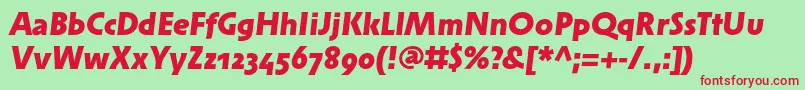 SolperamediumosfBolditalic Font – Red Fonts on Green Background