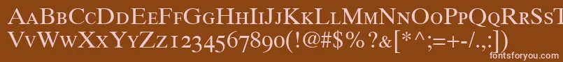 GrecoTenOldstyleSsiOldStyleFigures Font – Pink Fonts on Brown Background