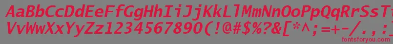 Шрифт LucidasanstypewriterstdBob – красные шрифты на сером фоне