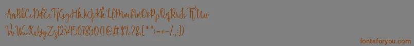 Shellaherascriptdemo Font – Brown Fonts on Gray Background