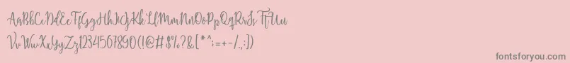 Shellaherascriptdemo Font – Gray Fonts on Pink Background