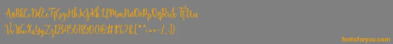 Shellaherascriptdemo Font – Orange Fonts on Gray Background