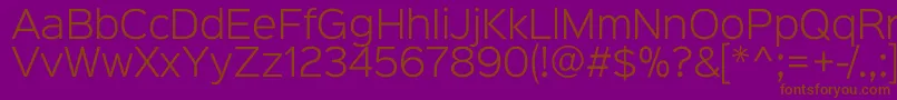 Sinkinsans300light Font – Brown Fonts on Purple Background