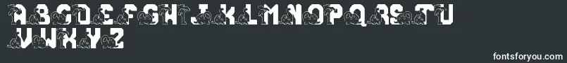 LmsConradasaur Font – White Fonts on Black Background