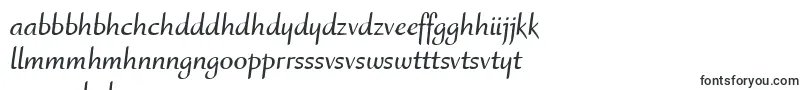 RuzickaFreehandLtBold-fontti – shonan fontit
