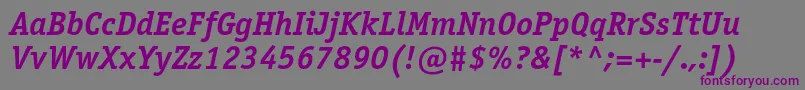 OfficinaserifboldcItalic Font – Purple Fonts on Gray Background