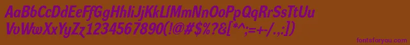 DynagroteskrmBolditalic Font – Purple Fonts on Brown Background