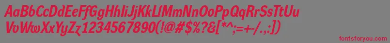 DynagroteskrmBolditalic Font – Red Fonts on Gray Background