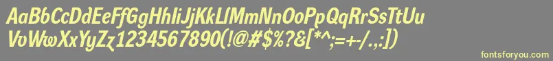 DynagroteskrmBolditalic Font – Yellow Fonts on Gray Background