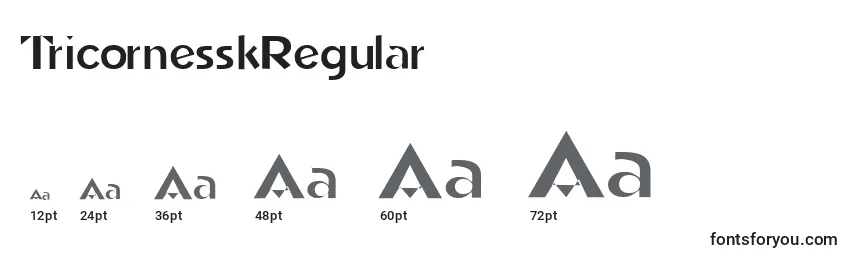 Размеры шрифта TricornesskRegular