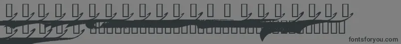 MarcelleSwashes-Schriftart – Schwarze Schriften auf grauem Hintergrund