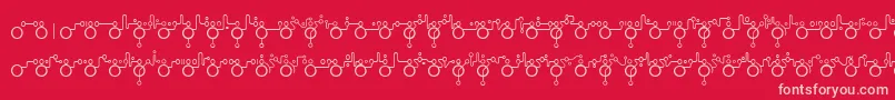 Echolot Font – Pink Fonts on Red Background