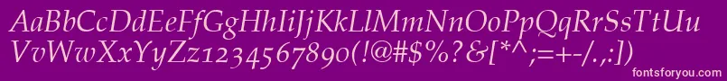 PalatinoItalicOldStyleFigures Font – Pink Fonts on Purple Background