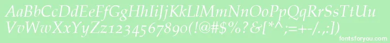 PalatinoItalicOldStyleFigures Font – White Fonts on Green Background