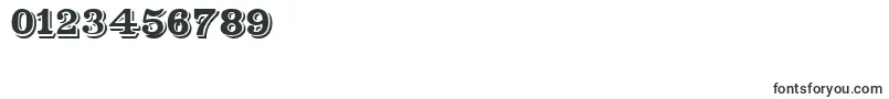 Shadser Font – Fonts for Numbers and Digits