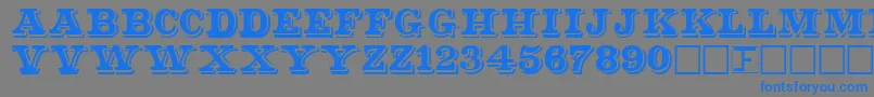 フォントShadser – 灰色の背景に青い文字