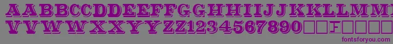Shadser Font – Purple Fonts on Gray Background