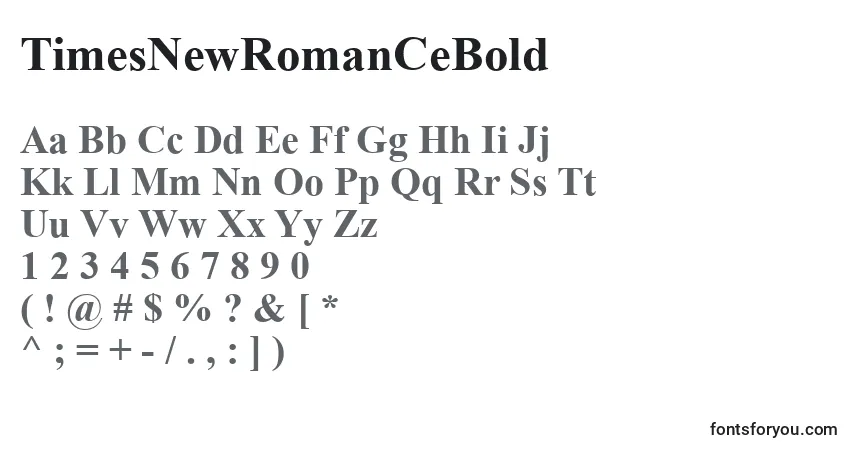 Шрифт TimesNewRomanCeBold – алфавит, цифры, специальные символы