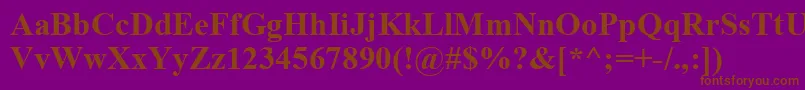 TimesNewRomanCeBold-fontti – ruskeat fontit violetilla taustalla