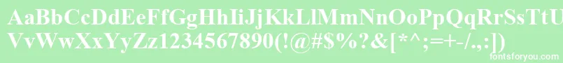 フォントTimesNewRomanCeBold – 緑の背景に白い文字