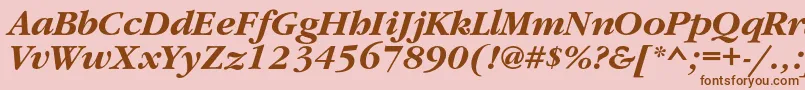 GaramondcBolditalic Font – Brown Fonts on Pink Background