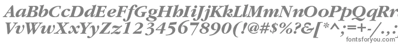 GaramondcBolditalic Font – Gray Fonts on White Background