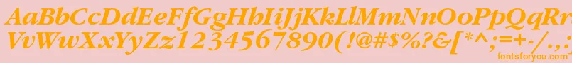 GaramondcBolditalic Font – Orange Fonts on Pink Background