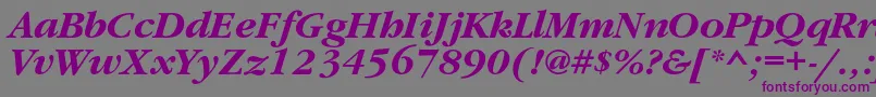 GaramondcBolditalic Font – Purple Fonts on Gray Background