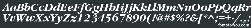 Шрифт GaramondcBolditalic – белые шрифты