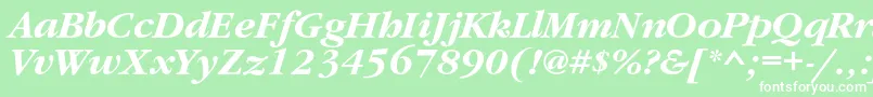 GaramondcBolditalic Font – White Fonts on Green Background