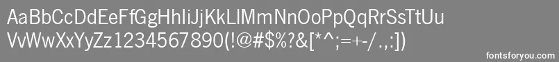 フォントNewcastleRegular – 灰色の背景に白い文字