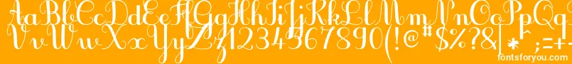 JbcursiveV3Bold-Schriftart – Weiße Schriften auf orangefarbenem Hintergrund
